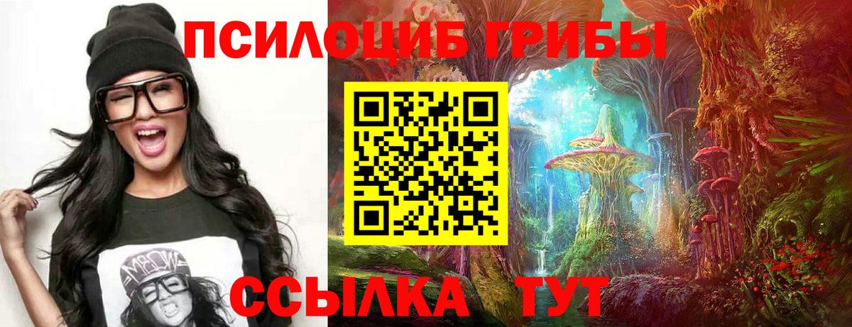 Псилоцибиновые грибы MAGIC MUSHROOMS Чехов