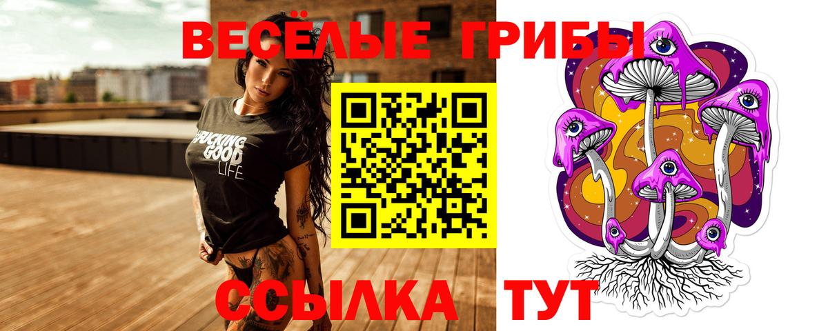 Чехов  Псилоцибиновые грибы прущие грибы  Вход с VPN 