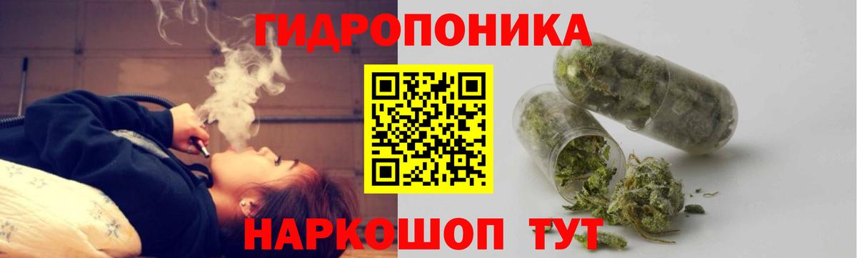 Шишки марихуана семена Чехов
